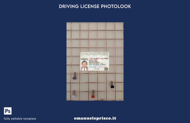 stile verificato Modello ANTERIORE photolook patente di guida internazionale